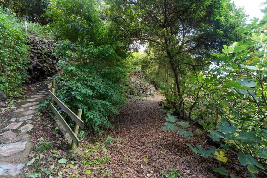 イコー・デ・ロス・ビノスFinca El Molledo La Cuadraアパートメント エクステリア 写真